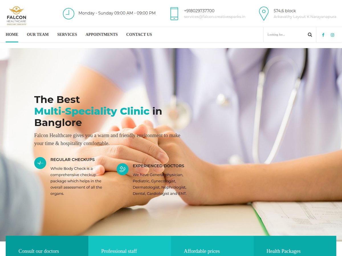 Falcon Healthcare Website Screenshot