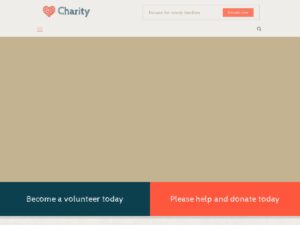 Charity demo website
