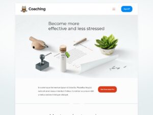 Coaching demo website