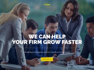 Firm demo website