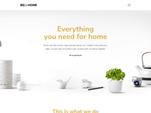 Home demo website