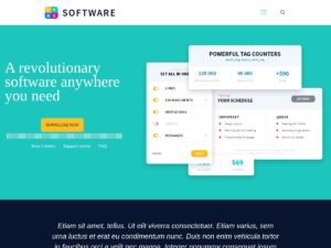 Software demo website