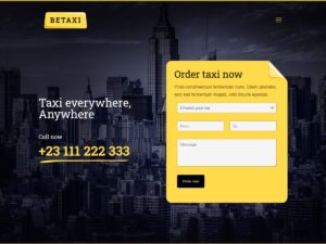 Taxi demo website